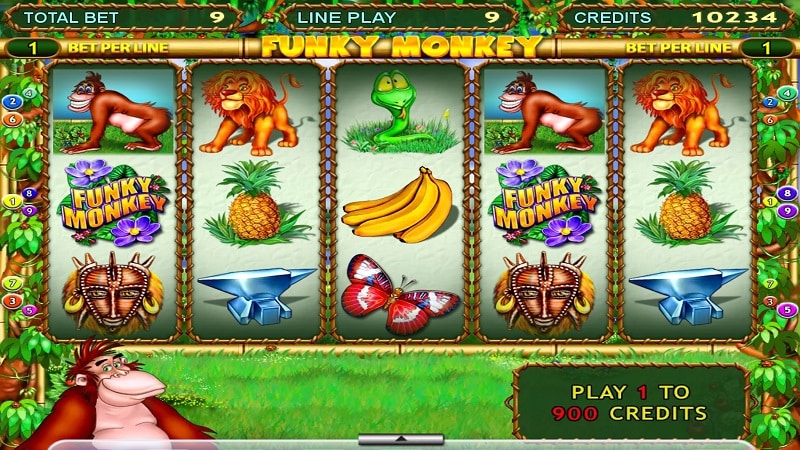 Funky Monkey